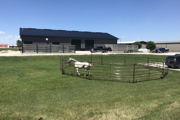 Outdoor Corral Area