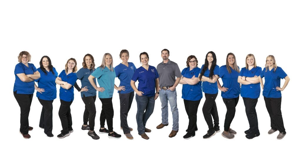 Mission & Core Values